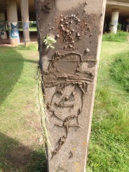 River Mud Graffiti